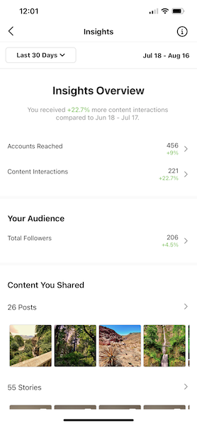 Snapshot of Instagram Insights Overview where you can determine engagement rate on Instagram