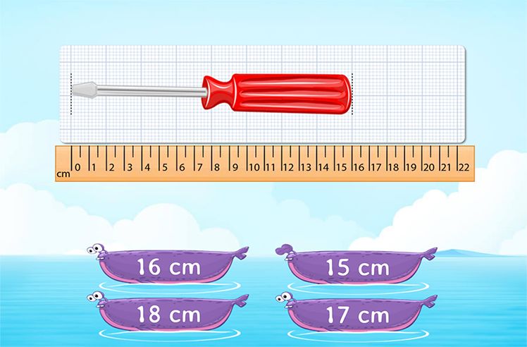 Measure Lengths Using The Ruler game for 2: Measuring Length in Centimeters