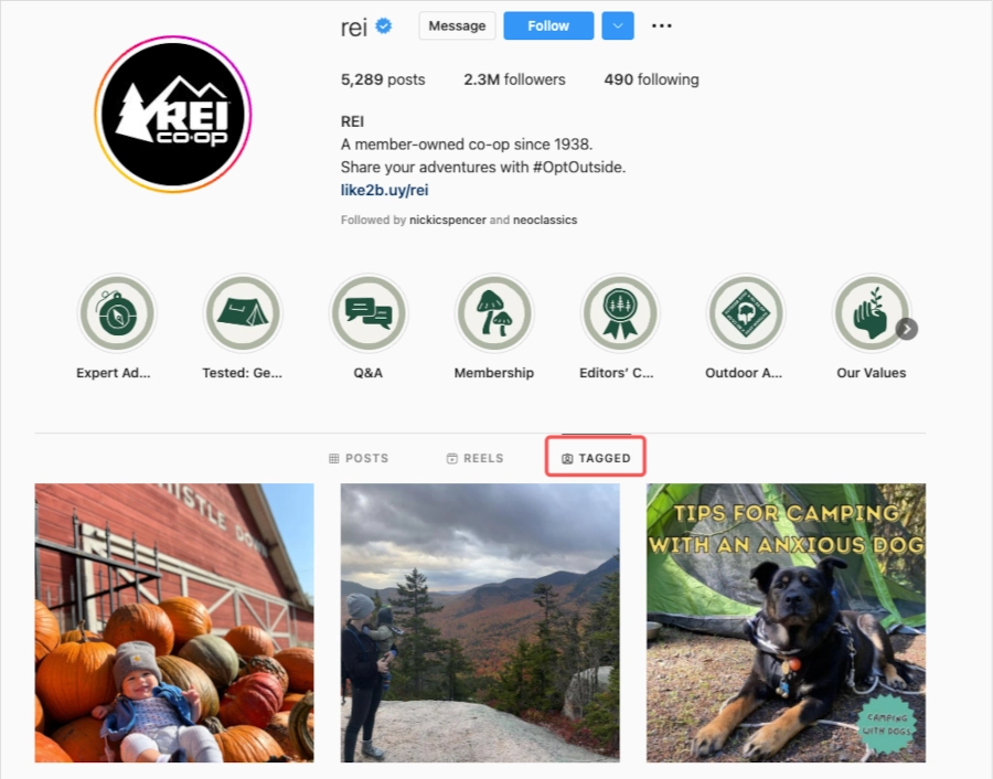 Screenshot of REI Instagram profile